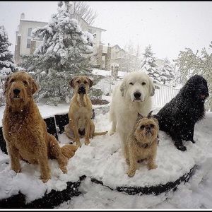 Meet your Posher, Taylor